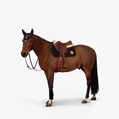 hermes equestrian|hermes equestrian collection.